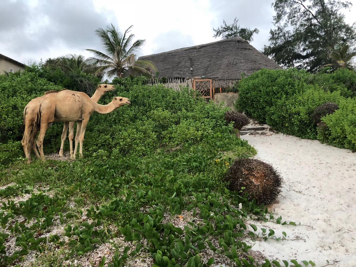 Sunset Beach Resort Watamu Εξωτερικό φωτογραφία